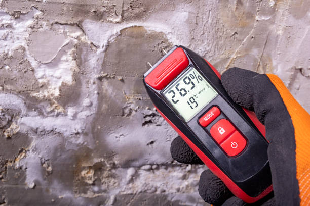 Best Local Mold Removal Service  in Shrewsbury, MO