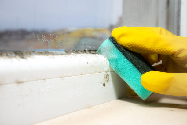 Best Mold Testing  in Shrewsbury, MO